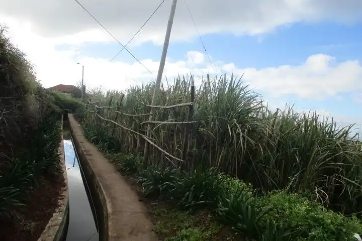 Sugar Cane Route Ponta do Sol