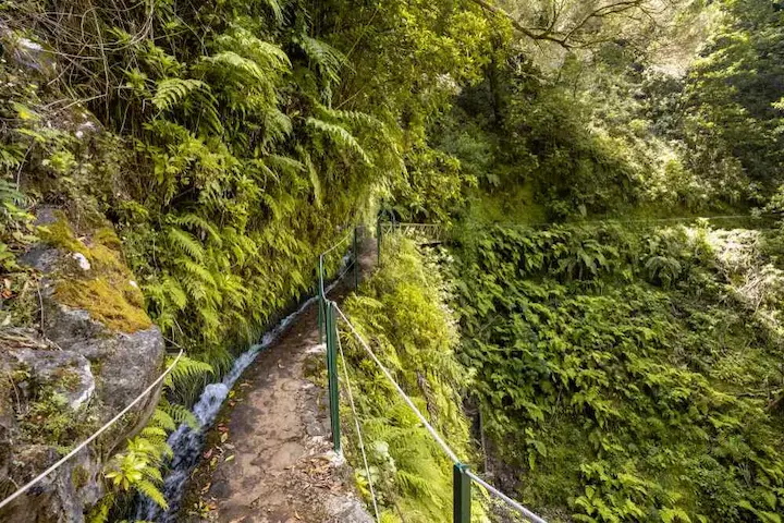Madeira Island Walks Levada dos Cedros PR14